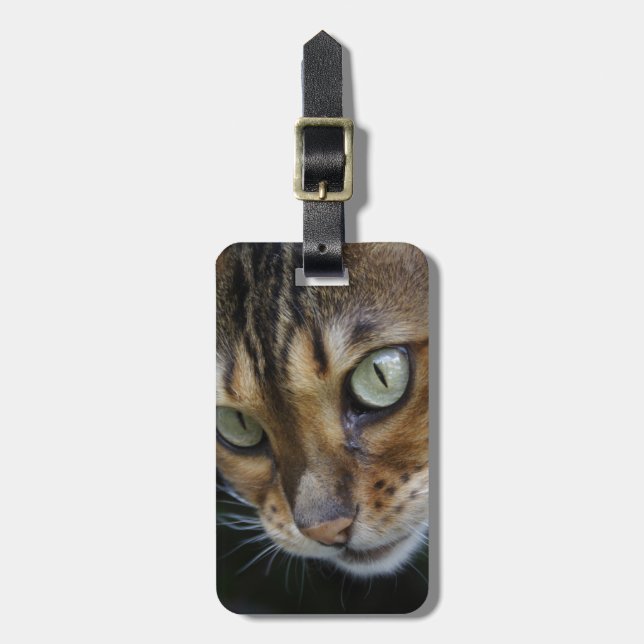 Curious Bengal Cat Luggage Tag (Front Vertical)