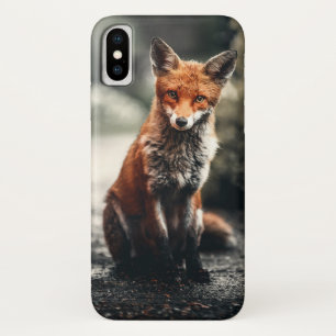 Curious Big Red and White Fox Sitting in Nature iPhone X Case