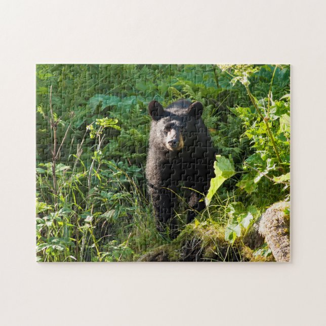 Curious Black Bear Jigsaw Puzzle (Horizontal)