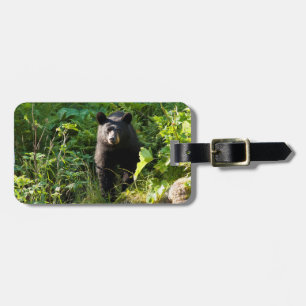 Curious Black Bear Luggage Tag