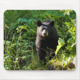 Curious Black Bear Mouse Pad