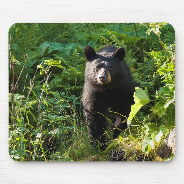 Curious Black Bear Mouse Pad (Front)