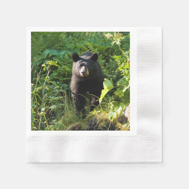 Curious Black Bear Napkin (Front)