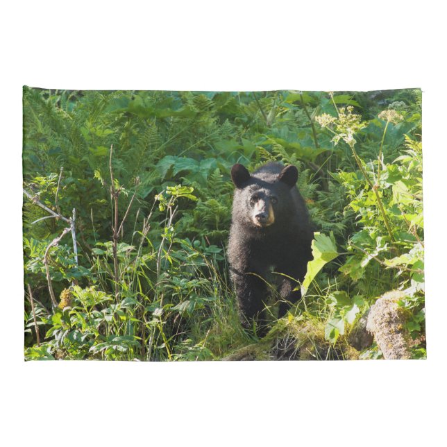 Curious Black Bear Pillowcase (Back-Right)
