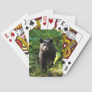 Curious Black Bear Playing Cards