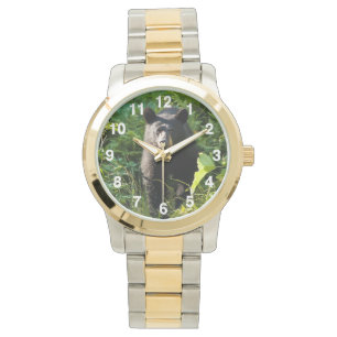 Curious Black Bear Watch