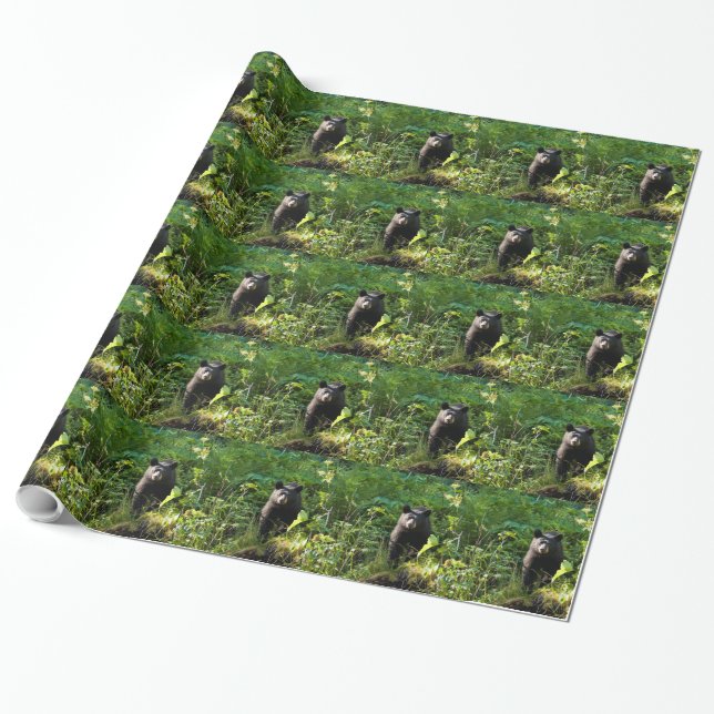 Curious Black Bear Wrapping Paper (Unrolled)