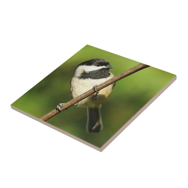 Curious Black-Capped Chickadee on the Grapevine Ceramic Tile (Side)