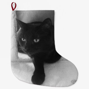 Curious Black Cat Stocking