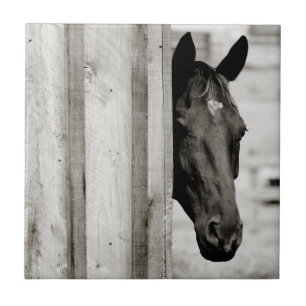 Curious Black Horse Ceramic Tile