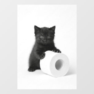 Curious Black Kitten Guarding Toilet Paper Roll On