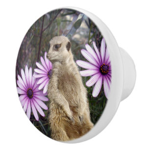 Curious Bloom: Meerkat Among Purple Daisies Ceramic Knob