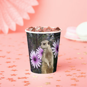 Curious Bloom: Meerkat Among Purple Daisies Paper Cups
