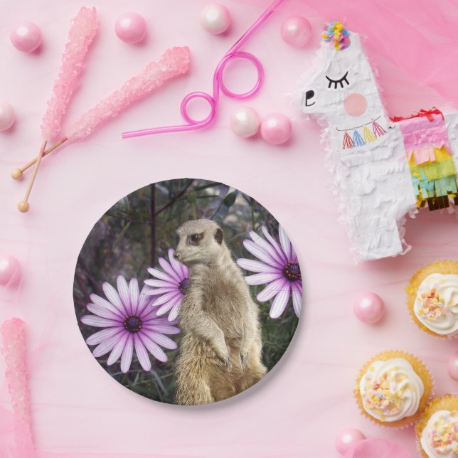 Curious Bloom: Meerkat Among Purple Daisies Paper Plate (Party)