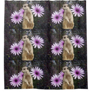 Curious Bloom: Meerkat Among Purple Daisies Shower Curtain