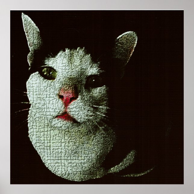 Curious Bob Poster (Front)