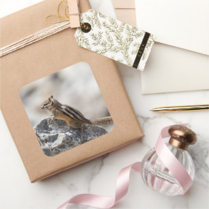 Curious Brown Chipmunk on Rock Square Sticker