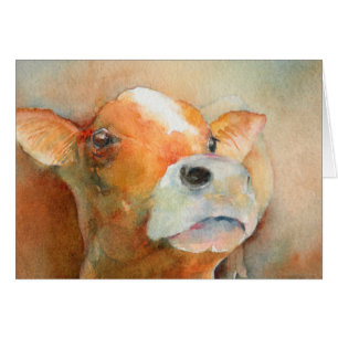 Curious Calf