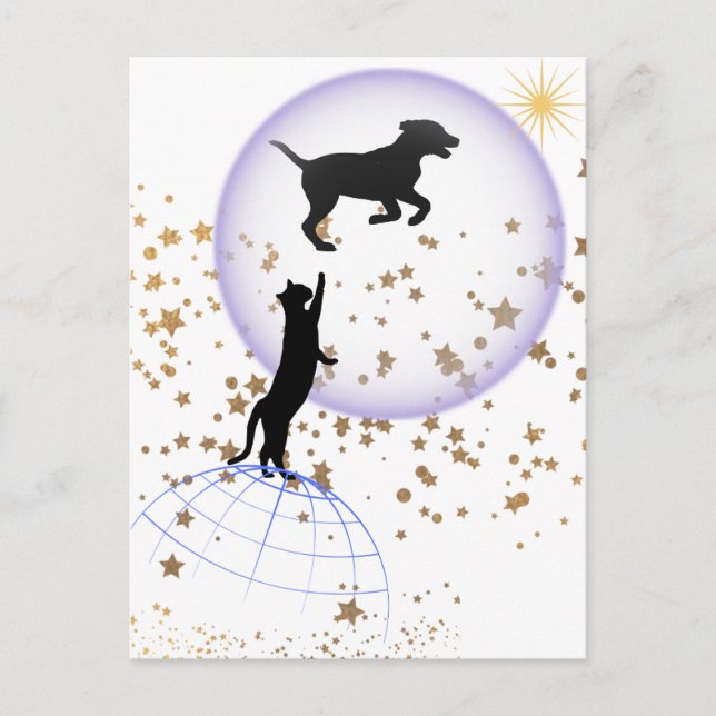 Curious cat and running dog postcard (Front)