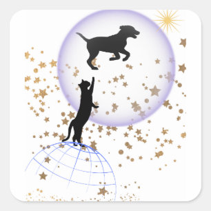 Curious cat and running dog square sticker
