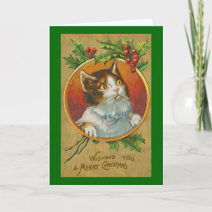 Curious Cat Christmas Card