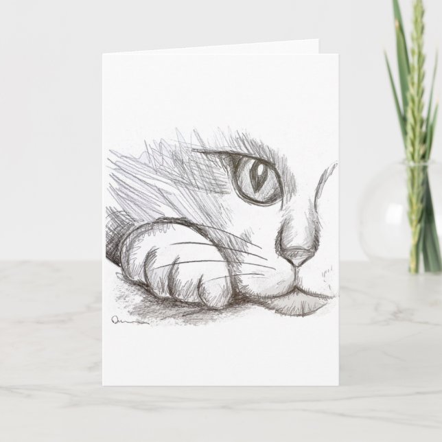 Curious Cat Pencil Drawing Greeting Card (Front)