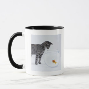 Curious cat watching goldfish in fishbowl mug