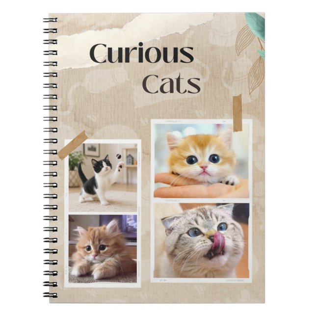 Curious Cats Collage Notebook (Front)