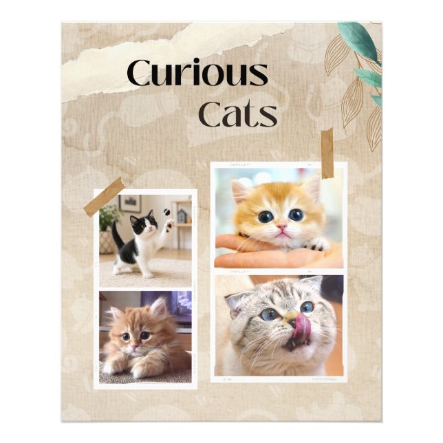 Curious Cats Collage Photo Print (Front)