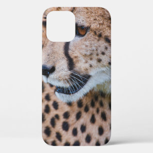 CURIOUS CHEETAH iPhone 12 CASE