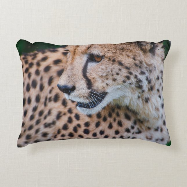 CURIOUS CHEETAH DECORATIVE CUSHION (Front)