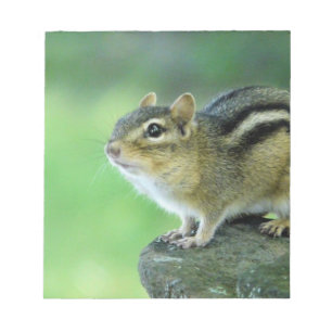 Curious Chipmunk Notepad