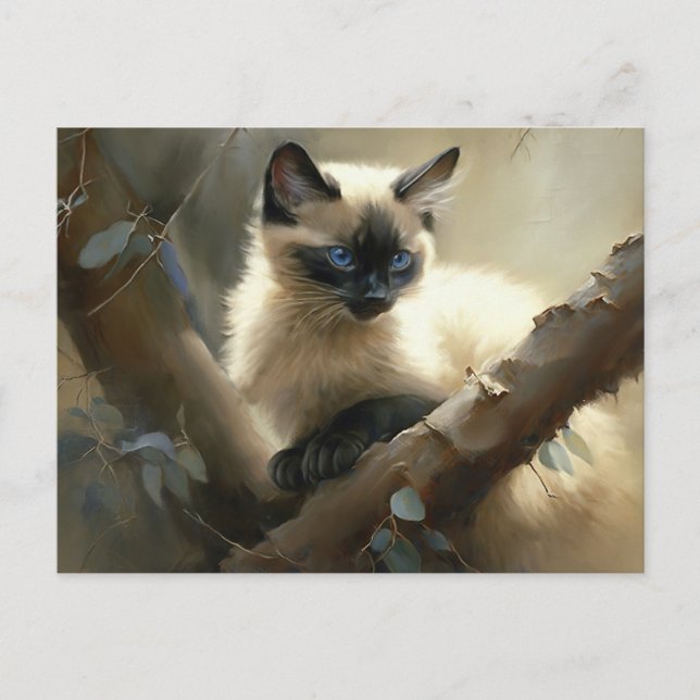 Curious Climber Siamese Kitten Postcard (Front)