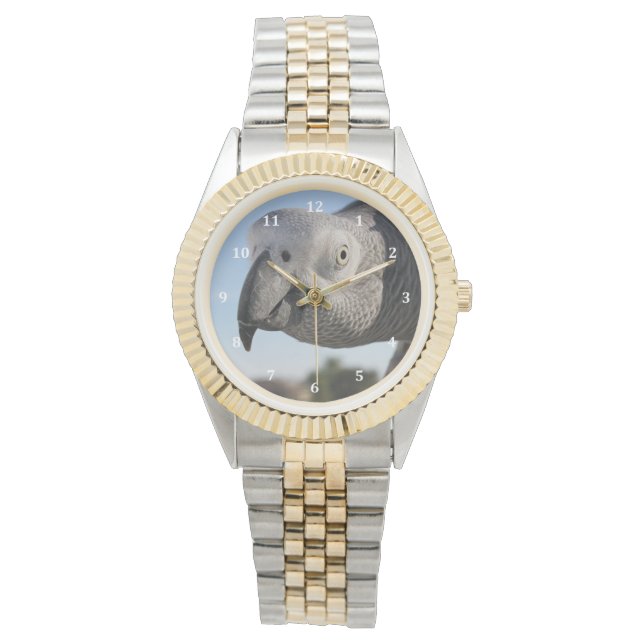 Curious Congo African Grey Parrot Watch (Front)