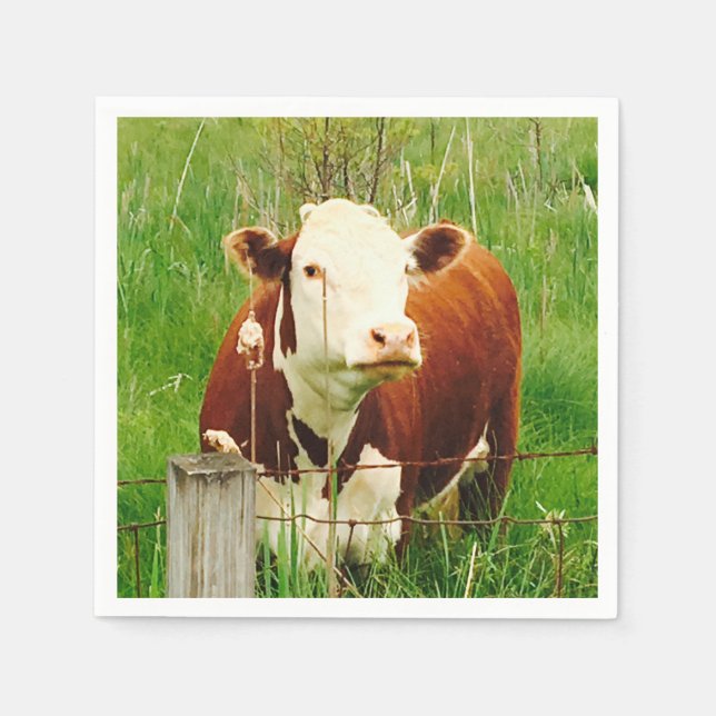 Curious Cow 4Ricky Napkin (Front)