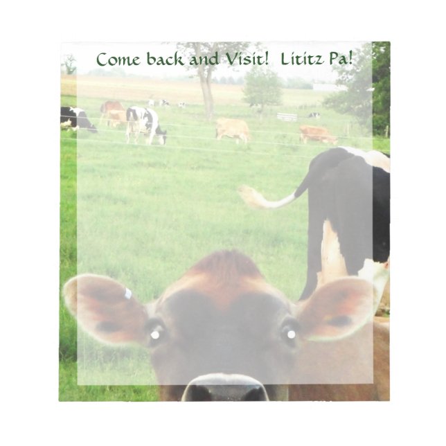 Curious Cow Lititz Notepad! Notepad (Front)