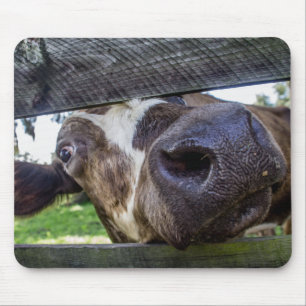 Curious Cow Mouse Pad