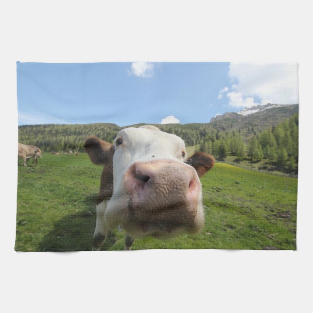curious cow tea towel (Horizontal)