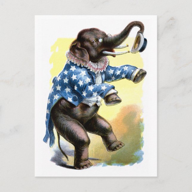 Curious Creatures - Elephant Postcard (Front)