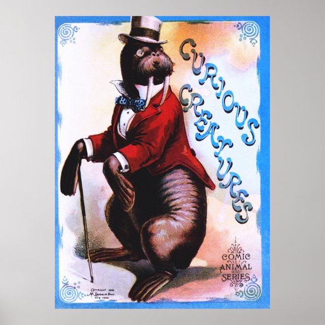 Curious Creatures - Seal Poster (Front)