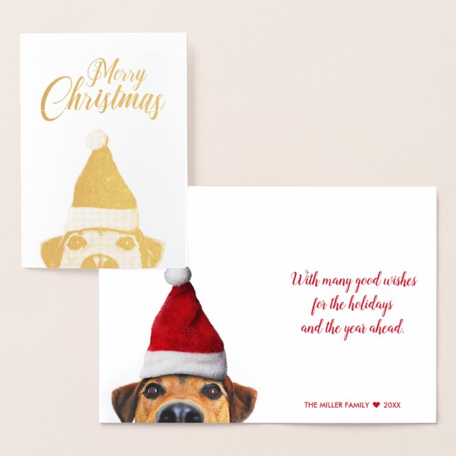 Curious Cute Funny Dog with Santa Hat Foil Card (Display)