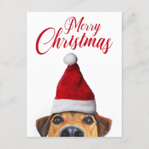 Curious Cute Funny Dog with Santa Hat Holiday Postcard