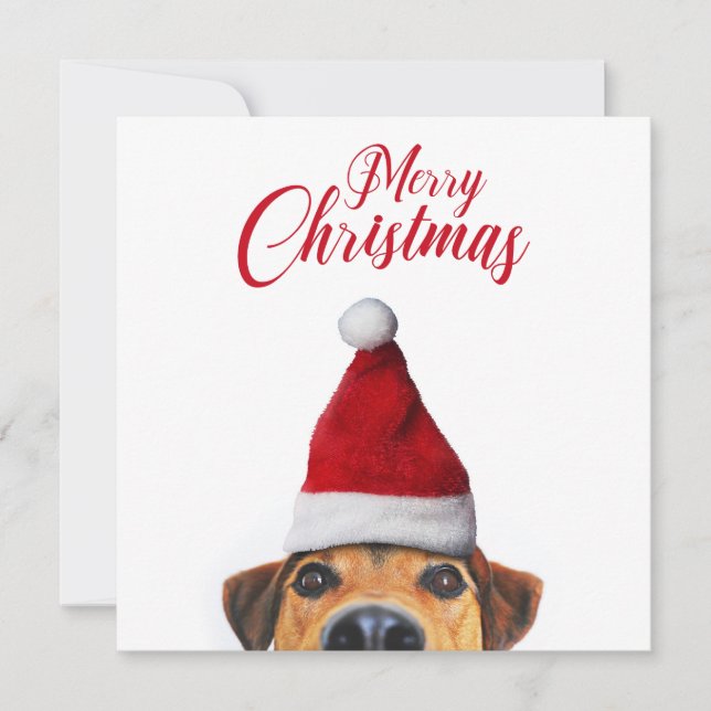 Curious Cute Funny Dog with Santa Hat Invitation (Front)