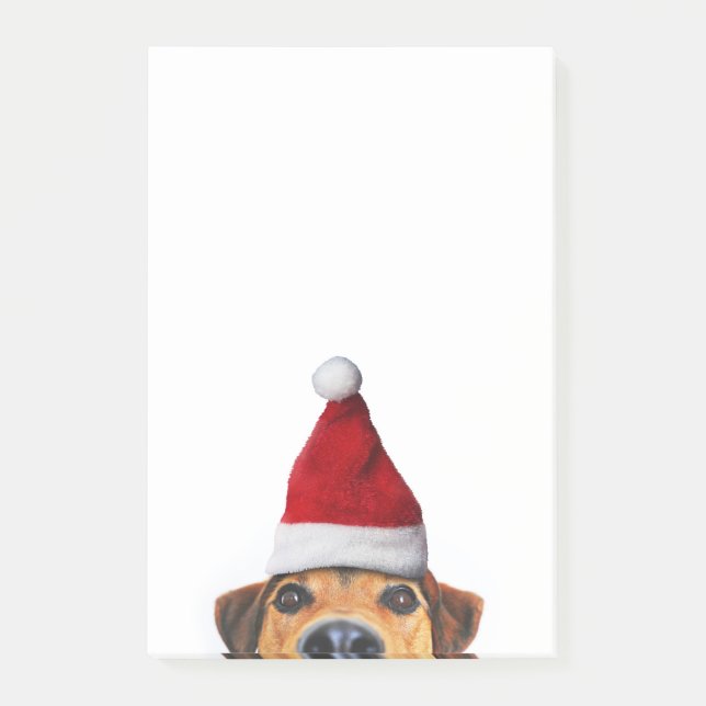 Curious Cute Funny Dog with Santa Hat Post-it Notes (Front)