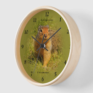 Curious Cute Hungry Columbian Ground Squirrel Clock