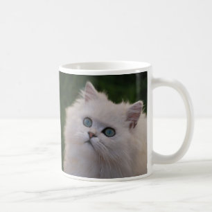 Curious cute white kitten coffee mug