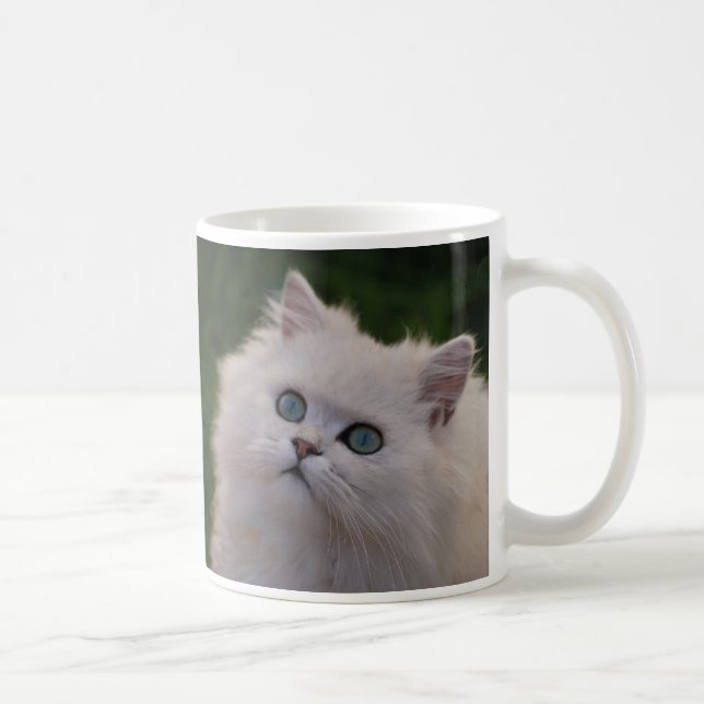 Curious cute white kitten coffee mug (Right)