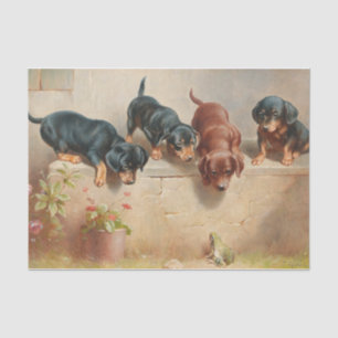 Curious Dachshund Puppies and a Frog by Reichert Tissue Paper