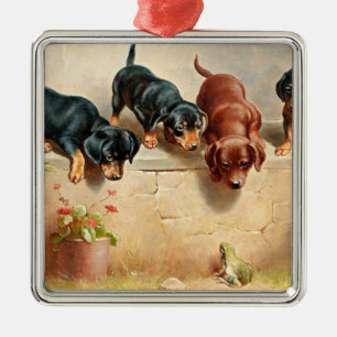 Curious Dachshund Puppies and a Frog Metal Ornament