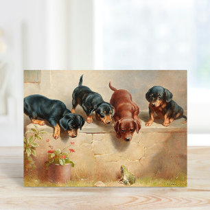 Curious Dachshund Puppies   Carl Reichert Card